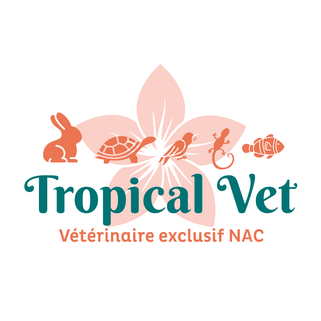 Tropical Vet